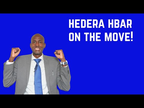 As Bitcoin hits All Time Highs, What's Next for HBAR?