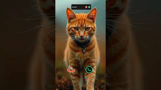 #smartphone #ringtone #tech #call #ringtones #iphone #mobiletech #innovation #unveiling #iphone15