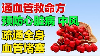 逆转被截肢命运的通血管方，3天疏通下肢血管，预防心脏病、中风【养生有道】