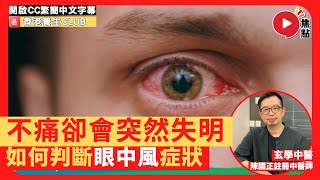 眼中風不痛卻會突然失明！ 玄學中醫：3類人士高危慎防變成腦中風！ 教你如何判斷眼中風症狀、前兆！ #中風 #眼中風 #養生 #懶人包《香港養生Club》 EP13 20220307