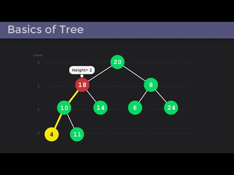 Visualization of Tree Essentials: [Node, Edge, Root, Internal Nodes, Leaf Nodes, Depth, Height]