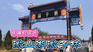 旅游纪实片《微山湖薇子林》摄录剪辑制作：马德禄