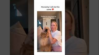 dogs being idiots part 217 #cutegolden #funny #funnypets #pets #petvideos #funnyanimals #lovegolden
