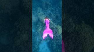 Real Life Little Mermaid! Magical Cave Grotto!￼