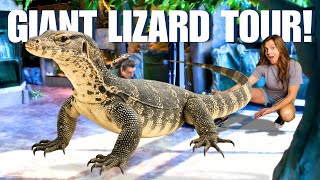 Giant Lizard Tour! Exhibit By Exhibit Tour Of All Our Monitor Lizards!
