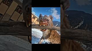 leo 🆚 Hyena 🐺🐺||viral 🔥🔥 clip from of Leo movie#4kedit #vijaythalapathy#lokiverse #videodiary#south