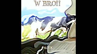 BRO CAT OR COW #trending #trollface