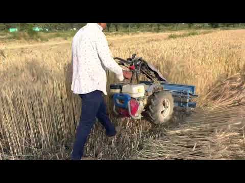 गेहूँ की कटाई का सरल तरीक़ा मशीन के द्वारा #machine #technology #incredibleindia #eshlaengg #tools