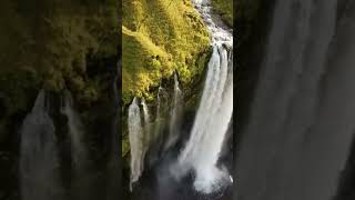 Beautiful World v3 #facebook #birds #facebookmistake #facebooktips #spam #nature