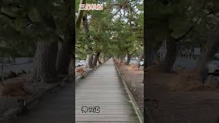 神の道 #静岡 #三保松原