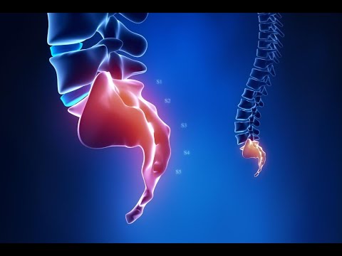 4 BEST Exercises For Tail Bone Pain ( Coccydyniya),Tail bine Pain Relief Exercieses at Home( part-1)