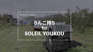 【Vlog】農家の１日 ～りんご搾り＆天竜峡観光～ #横さんの日常 #Vlog #007