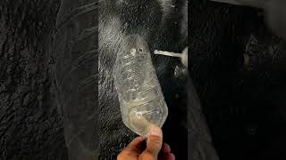 Drilling into a wall in your home  #tools