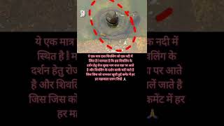 शिवलिंग के दर्शन में नाग राज #mahadev #bholenath #shiva