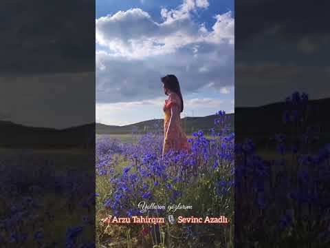 Yollarını gözlərəm. Söz:Arzu Tahirqızı. Səs:Sevinc Azadlı Tərtibat:Bəxtiyar Nemətli#poeziya #şeirler