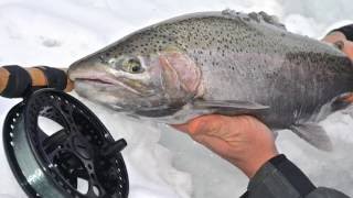 Matrix Buck Release