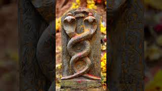 జంట నాగుల విగ్రహానికి పాలాభిషేకం #jantanagulu #nagapooja