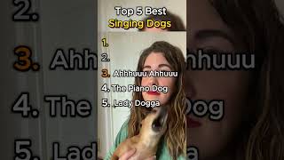 Singing Dogs #animals #dogs #top5 #TopFive #funny #shorts #ranking