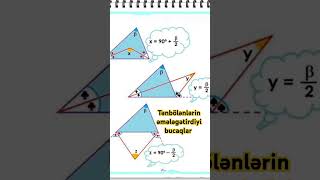 Tənbölənlərin əmələ gətirdiyi bucaqlar
