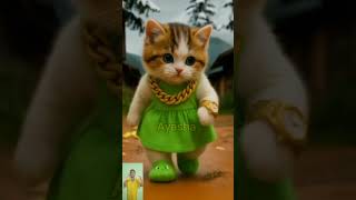 Dudi Dudi Dham Dham🥀Fluffy Cat’s Walk Will Melt Your Heart #cats #cute #cutecat #cat