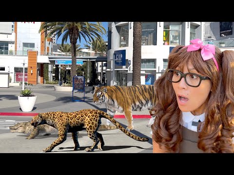 Jungle Animals Escaped Into the City | Animal Stories for Kids