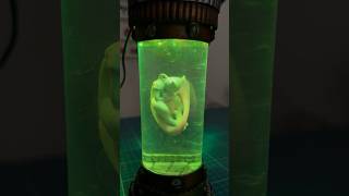 Remaking the Mewtwo lamp