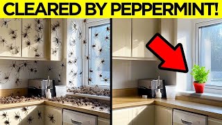 When Simple Hacks Fix Problems You Didn’t Know You Had