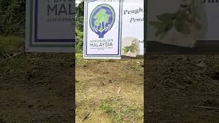 Program penghijauan hutan... #sabahanyoutuber #tawau #perhutanan