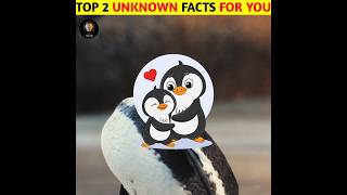 Top 2 Unknown facts? #facts #3amazing #unknownfacts #3amazing  #funfacts #automobile #top3amazing???
