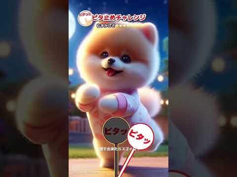 激ムズ可愛いピタ止めチャレンジ