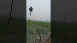 #farming #vrilshorts #song #567solt