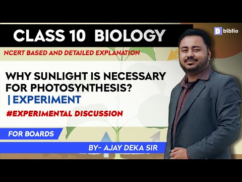 Why Sunlight is Necessary for Photosynthesis | Experiment | Discussion