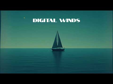 Digital Winds - The Implementors