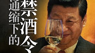 【禁酒令】让经济雪上加霜：近年无脑决策盘点｜请「科学决策」让权力慢下来｜共同富裕｜动态清零
