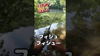 Black Bass Fishing Method 2