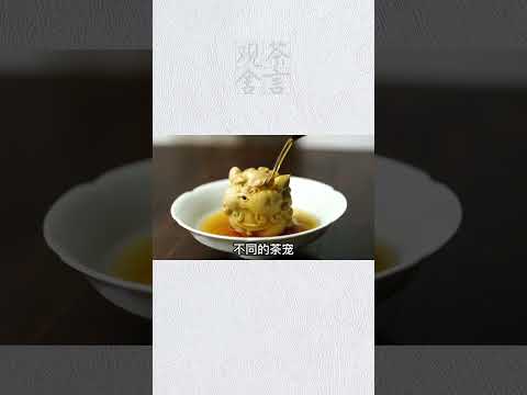 茶寵是怎麽來的？陸羽哭了。wechat：zj4867#召喚茶友#送茶葉壹斤茶具壹套  #tea #喝茶 #茶葉 #泡茶 #普洱茶 #茶知識  #茶道 #茶文化