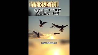7132869780314410251 重新认识地球 高温天气 曾仕强教授语录 气候异常 易经