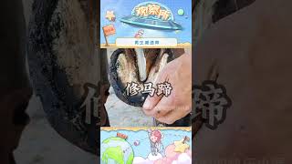 这才是真正的男生减速带！ #荒野求生 #锻刀大赛 #仓库盲盒 #卡点#shorts