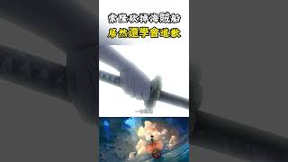 索隆斬斷海賊船毀掉人家的夢想，居然還學會了道歉，對不起我只是搞錯了船而已#onepiece #海賊王 #luffy