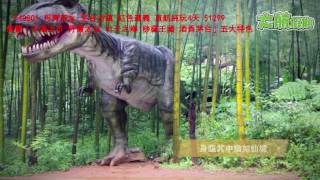 F40801  丹青赤水 茅台古镇 红色遵义