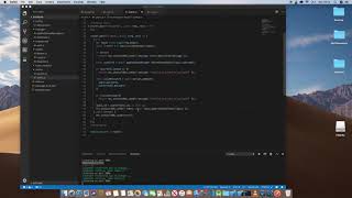 Add Middlleware and Check Basket Api (Ep 11)