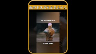 炮彈打到人身上會爆炸嗎 #漲知識