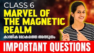 Class 6 Basic Science | Marvel Of the Magnetic Realm  | Most Important Questions | Exam Winner