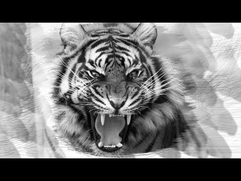 Adobe photoshop tutorial stylish pencil sketch effect