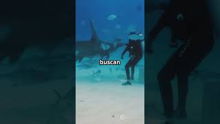 #marinemystery #facts #animalfacts #animals #jimcorbettwildlifeandnatureview #spanish #bullshark
