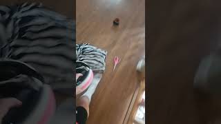 pov:You have been playing vr for 6 hours, straight #funny #vrgaming #oculus #gorillatag