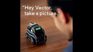 Vector Robot features, importance, review & What can Vector robots do?