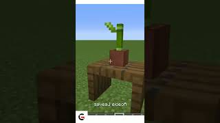 BONSAI TREE IN MINECRAFT | #shorts #tranding #viral