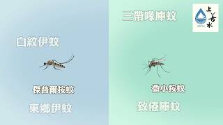 上善水香茅驅蚊殺菌噴霧 VO