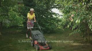 Top 10 Hacks for a Lush, Green Lawn
